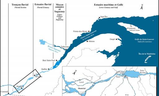 Map indicating the different sections of the St. Lawrence, with enlarged inset showing the area between Montreal and Trois-Rivières.