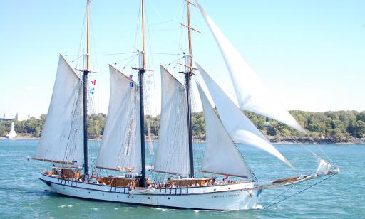 A white sailing ship, with three blue masts and three jibs, on the river. Numerous people are on board.