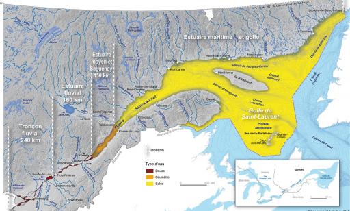 Map indicating the different sections of the St. Lawrence, with fresh water in red, brackish water in orange and salt water in yellow.