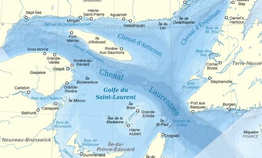 Une carte montre les limites du golfe, les chenaux le traversant et la profondeur de l’eau par différentes teintes de bleu.