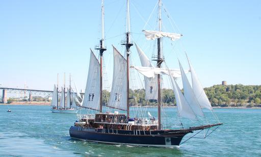 Two sailing ships, one dark blue and one white, on the river near Île Sainte-Hélène and the Jacques Cartier Bridge.