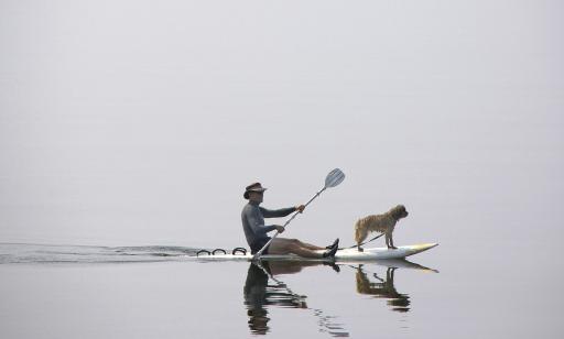 Un homme assis et son chien debout se déplacent sur une planche à pagaie sur une eau lisse créant un effet de miroir.