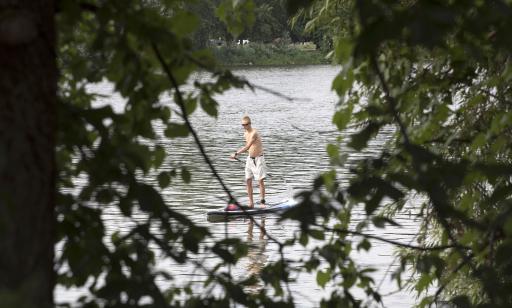 View through tree branches of a man standing on a paddle board moving along the calm water near the shore.