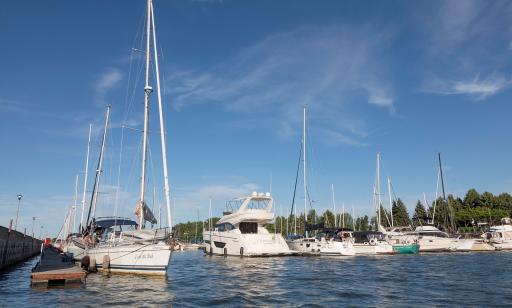 Close-up of many moored sailboats and motorboats. Trees in the park can be seen in the background.