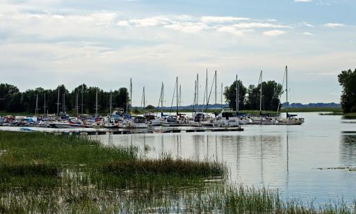 Des voiliers et des bateaux à moteur sont amarrés à des quais devant une île où on voit des milieux humides et des arbres.