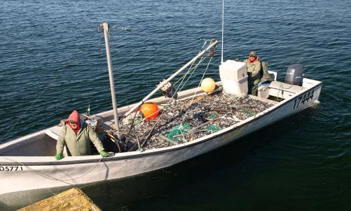 Many small silver fish piled in the middle of a boat, between two fishermen.