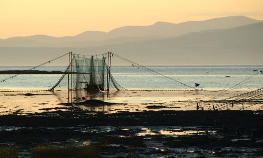 High nets held up by poles surround a trap resting on the bottom in shallow water. 