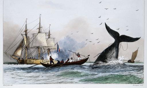 Six men in a whaling boat. One of them aims a harpoon tied to a cable at a sounding whale. 