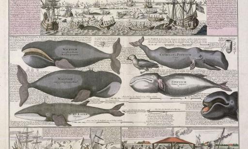 Document illustré décrivant une scène de pêche, différentes espèces de baleines et la transformation de la graisse en huile.