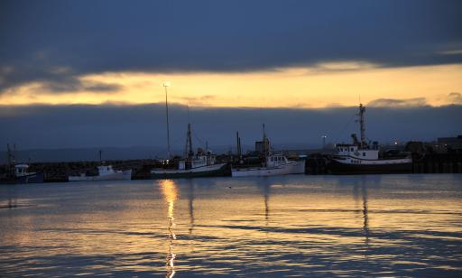 The evening light casts silvery reflections on the water in front of several boats of different dimensions.