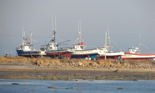 Two blue and white boats and three red and white boats on trailers along the shore, under a clear sky.