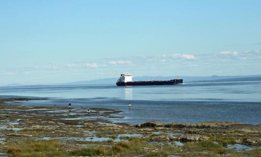 Deux personnes se promènent sur la berge à marée basse et regardent un cargo sur le fleuve. Au loin, on voit des montagnes.