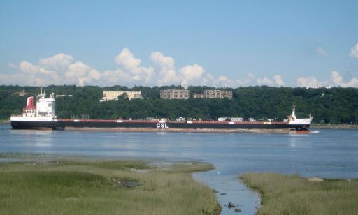 View from a marsh of a cargo ship on the river. The white letters CSL stand out against its black hull.