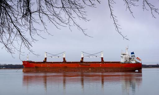 Red cargo ship with four lifting devices on its deck at anchor on the river. A wooded island can be seen in the distance.