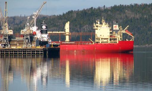 Two cargo ships moored at a wharf featuring two cranes and a building. In the distance, a tree-covered mountain can be seen.