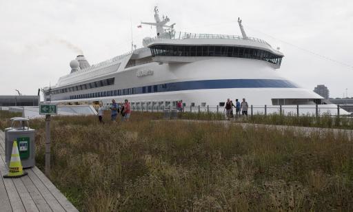 In front of a large cruise ship, people stroll on wooden walkways through a garden featuring many types of plants.