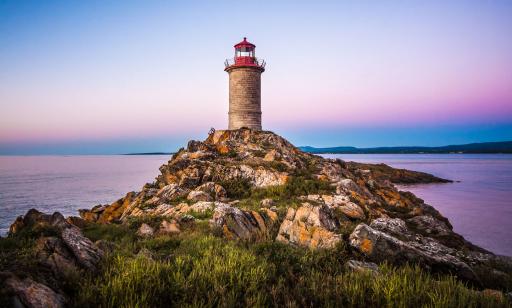 Une tour grise est sur la pointe d’un îlot de roches couvertes de lichen jaune entre lesquelles poussent quelques plantes. 