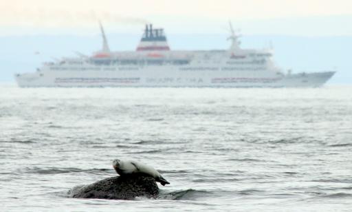 A seal lies on its side, showing its belly, while a ship passes in the hazy distance, emitting grey smoke.