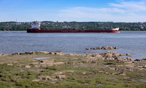 An orange cargo ship, with its large metal conveyor boom lowered, sails past houses on a shore.