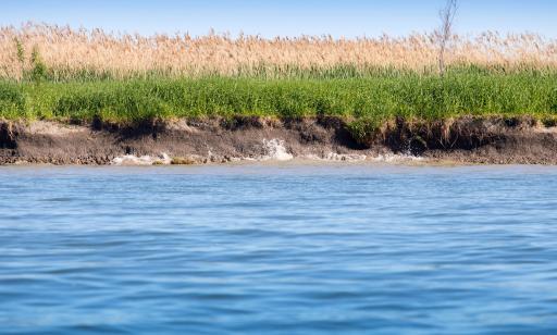 The grassy shoreline of an island cuts off abruptly, leaving bare soil near the waterline.