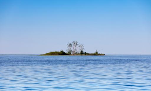 Une petite île assez plate couverte de plantes herbacées, d’arbustes et de quelques arbres semble perdue au milieu de l’eau.