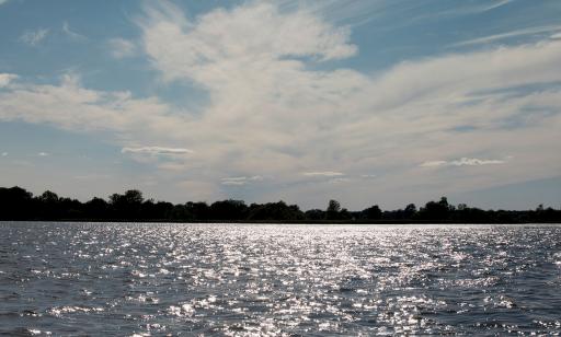 Sous un ciel lumineux d’été, l’eau miroite en multiples éclats et, au loin, la silhouette sombre des arbres se découpe. 