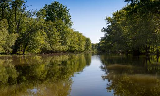 On voit la réflexion des arbres, bordant les deux rives d’un chenal, sur l’eau calme à peine ridée par des vaguelettes.