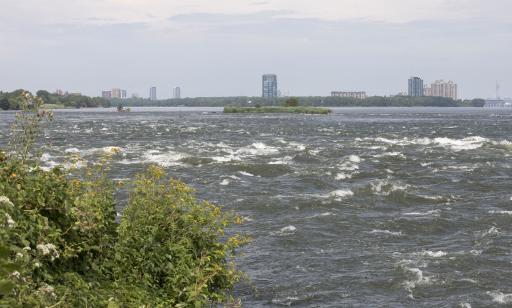 View of large, choppy waves on a turbulent river. Skyscrapers surrounded by trees stand in the distance.