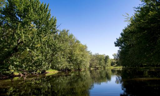 Les deux rives d’un chenal où l’eau est très calme sont bordées de majestueux saules et érables penchés au-dessus de l’eau.